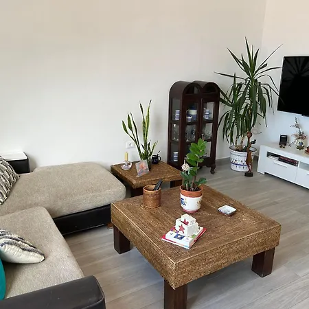 Icod Playa San Marcos